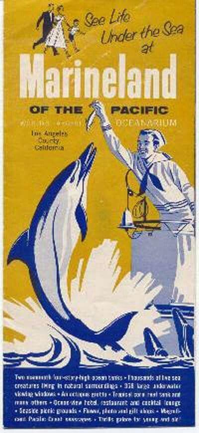 Marinelandbrochureporpoise2.jpg