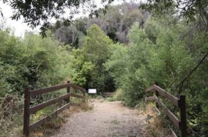 George F Canyon Nature Preserve hiking trail in Palos Verdes