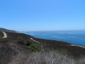 Ocean Trails Reserve South hiking trail in Palos Verdes