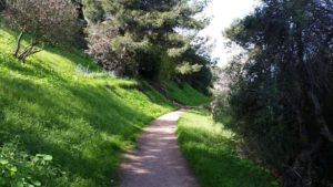 Palos Verdes Estates hiking trails
